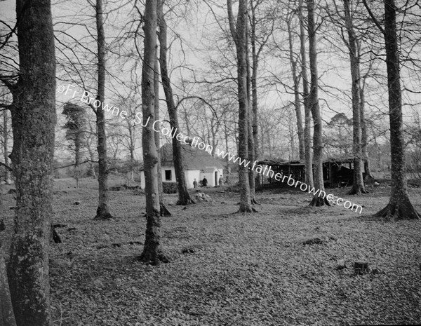 COTTAGE IN WOOD